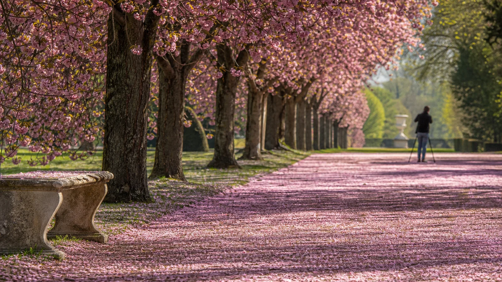 Atmosphère et contexte vacances de printemps 2026