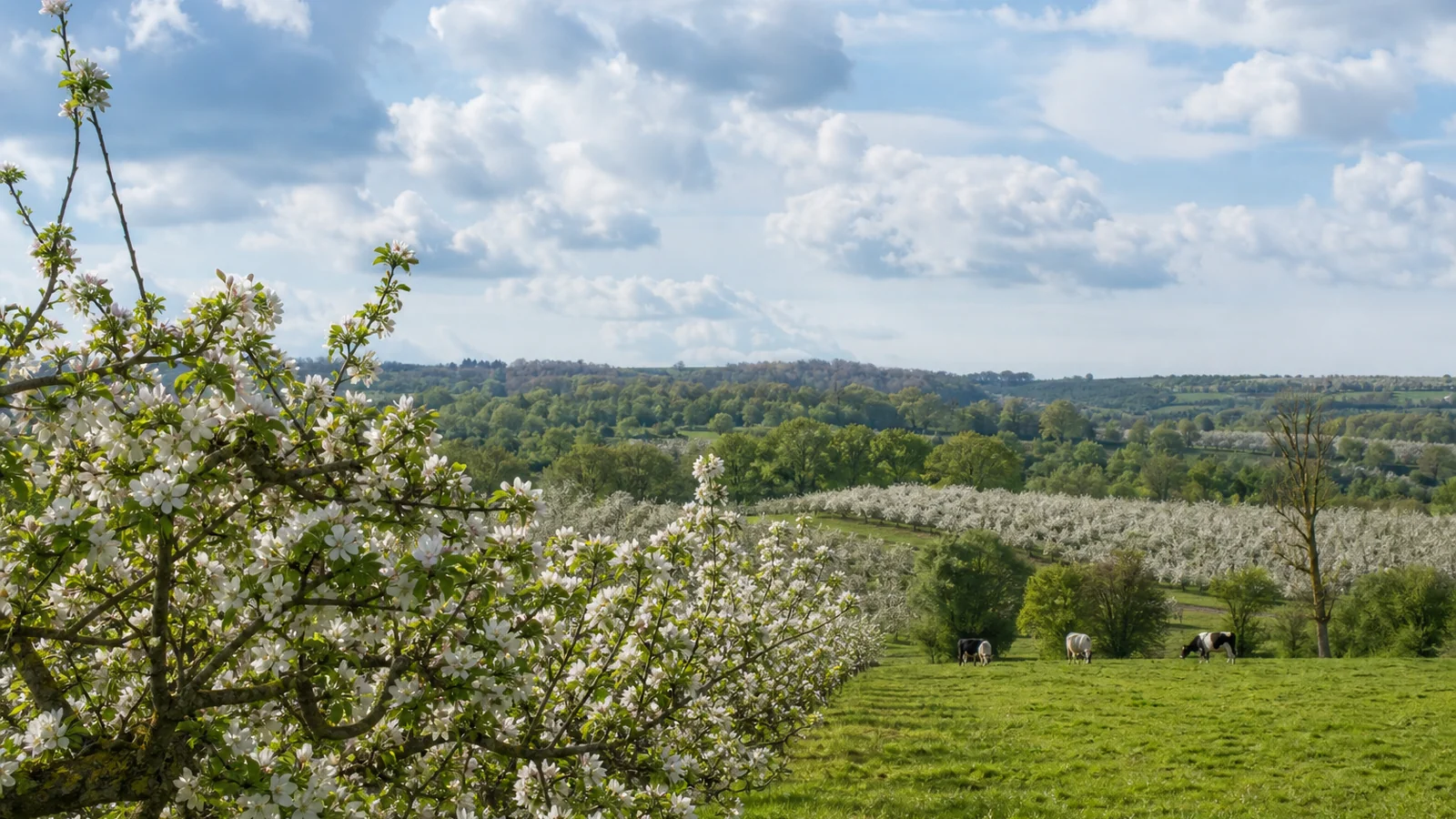 Atmosphère et contexte vacances de printemps 2029