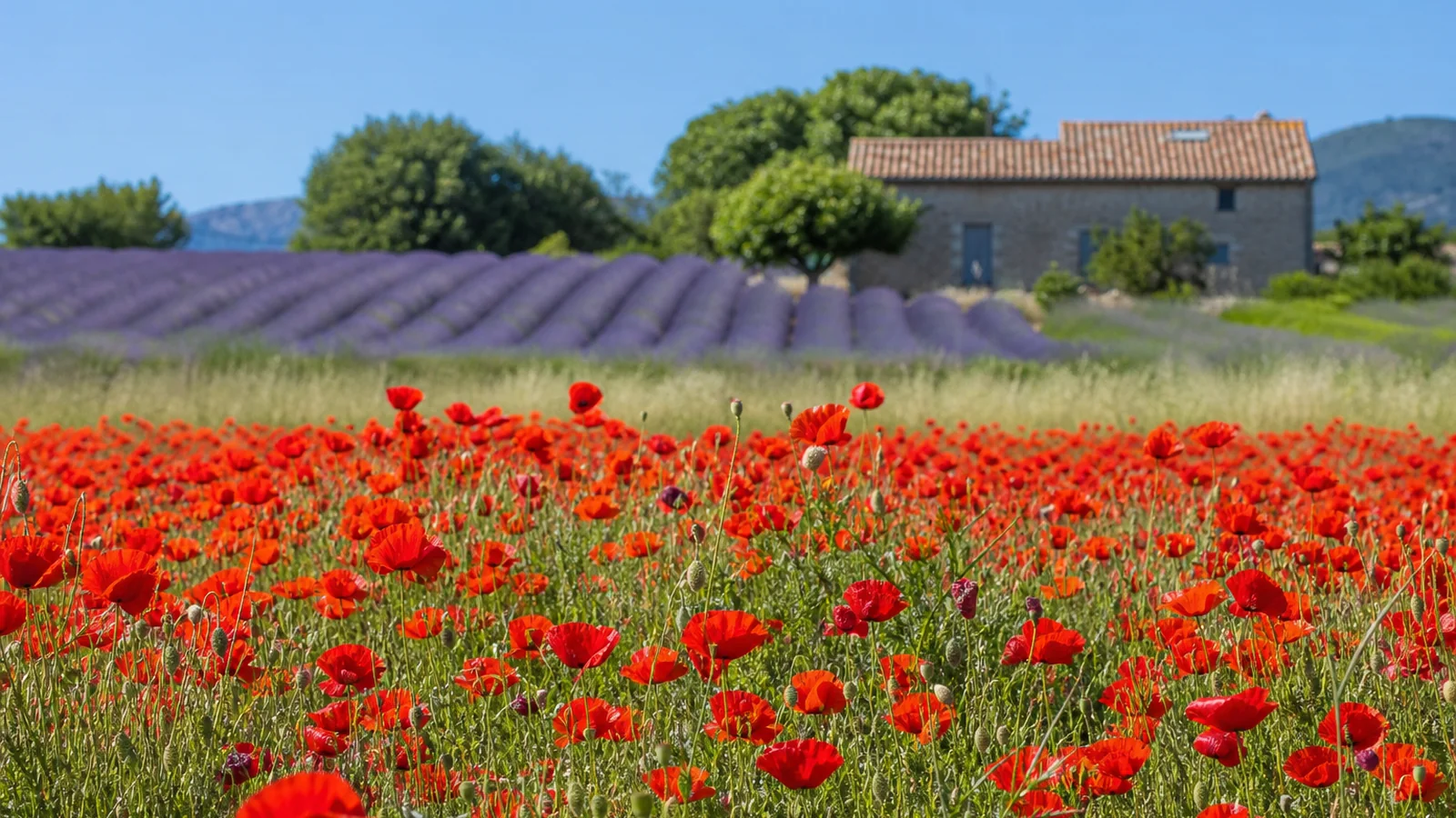 Atmosphère et contexte vacances de printemps